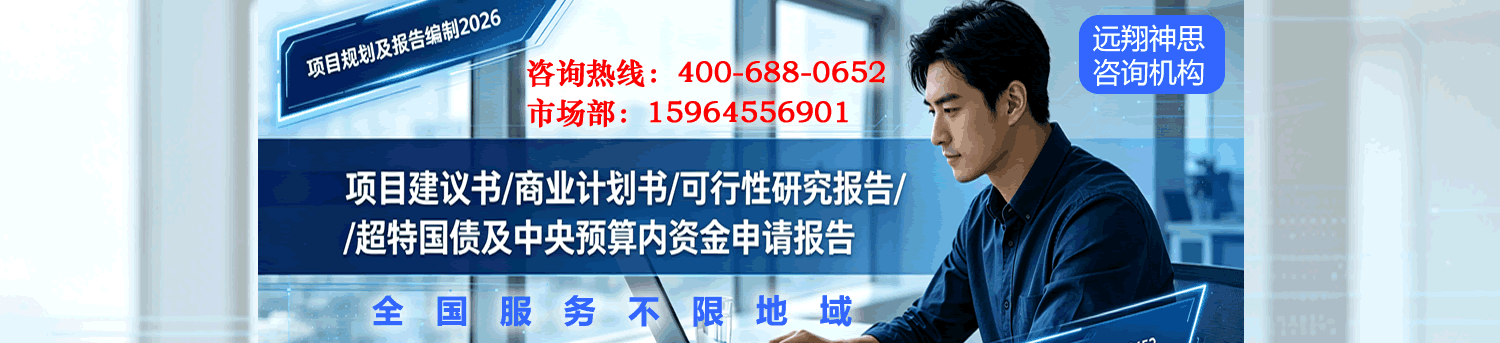 远翔咨询2027 - 专业规划咨询服务
