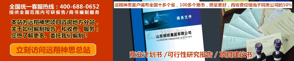 专业编制商业计划书、可行性研究报告